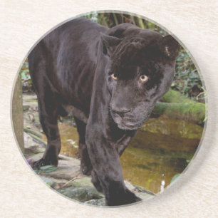 Porta-copos Zoológico da Cidade de Belize. Pantera negra