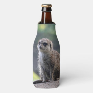 Porta-garrafa Meerkat_20171101_by_JAMFoto