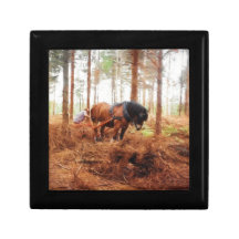 Giant Gentil - Rascunho dos Registros de Cavalo na