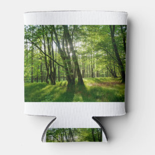 Porta-lata A floresta na primavera
