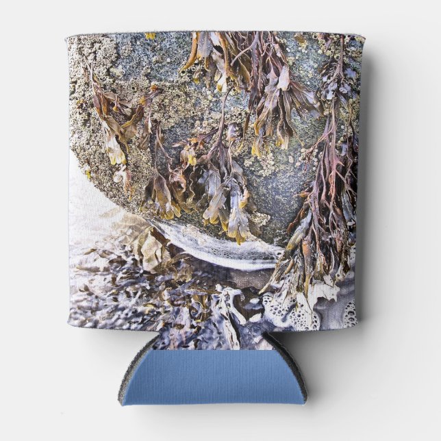 PORTA-LATA A PRAIA (Frente)