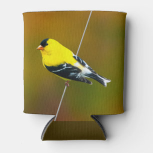 Porta-lata American Goldfinch - Fotografia original