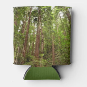 Porta-lata Até Redwoods I no Monumento Nacional Muir Woods