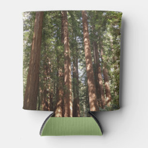 Porta-lata Até Redwoods II no Monumento Nacional de Muir Woo