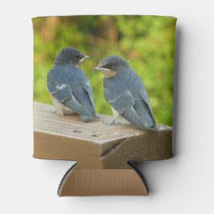 Porta-lata Baby Barn Swallow Nature Bird Fotografia