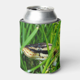 Porta-lata Ball Python na grama