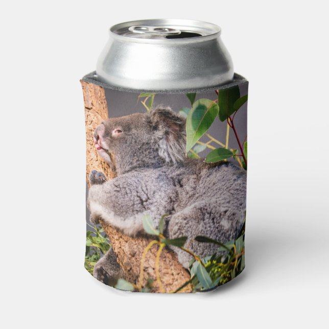 Porta-lata Bela coala (Can Back)