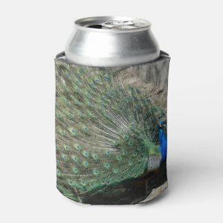 Porta-lata Belíssimo Pavão