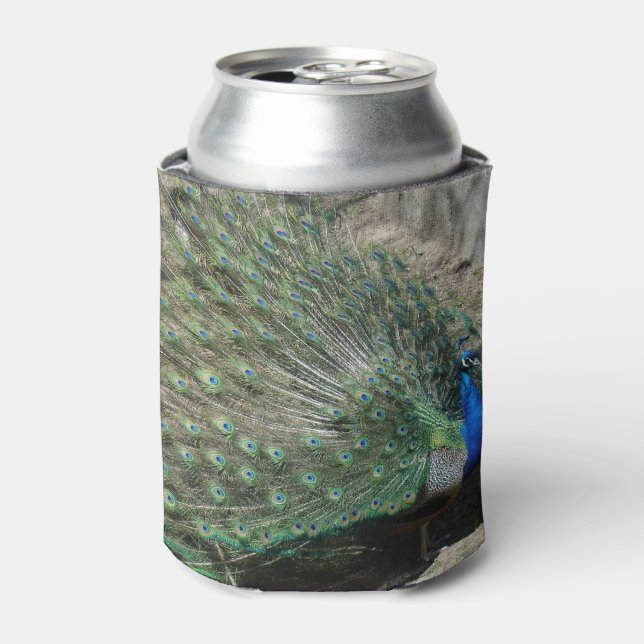 Porta-lata Belíssimo Pavão (Can Front)