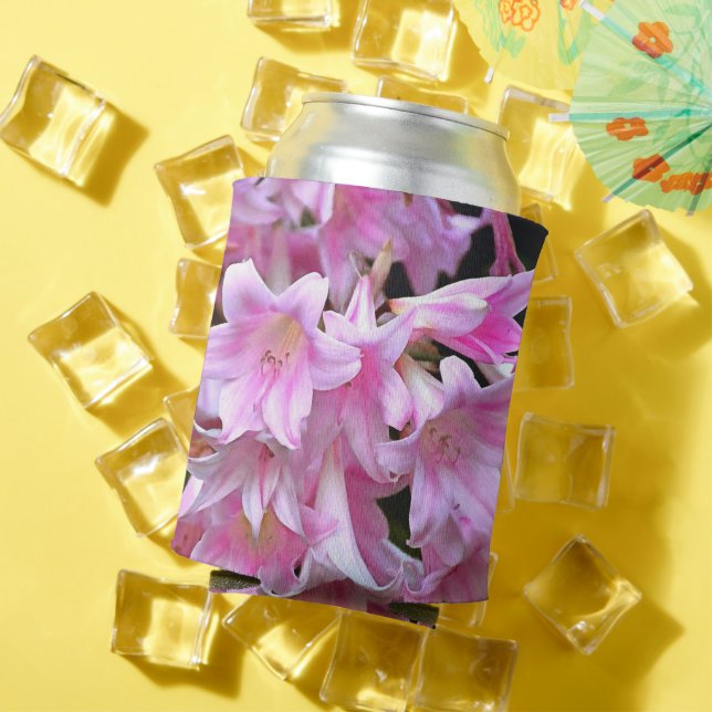 Porta-lata Belladonna Amaryllis Lilies, Cor-de-Rosa (Verão in situ)