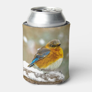 Porta-lata Bluebird oriental na neve - Foto original