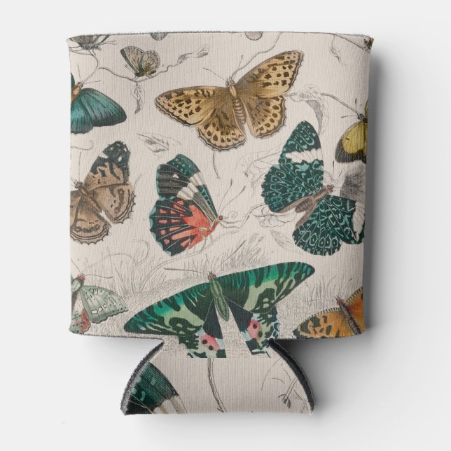 Porta-lata Borboletas Antigas de Coleção de Borboletas (Frente)