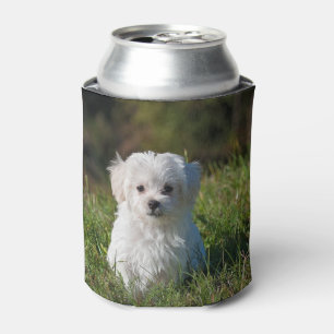 Porta-lata Cachorro branco fofo