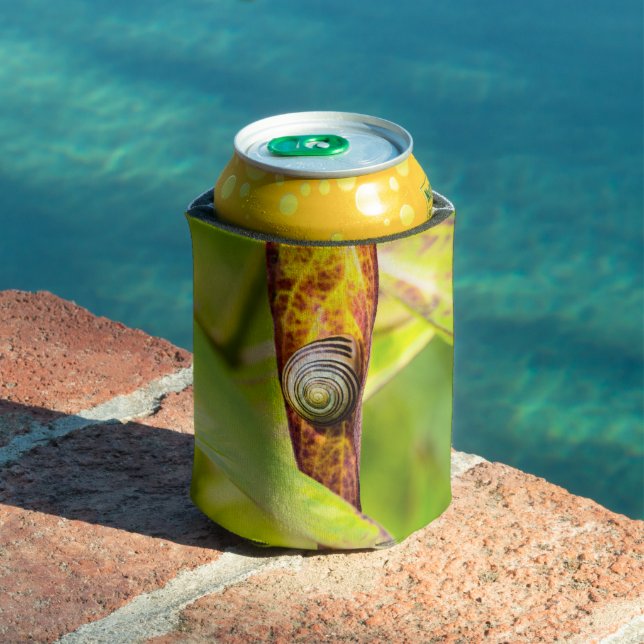 Porta-lata calma (Piscina in situ)