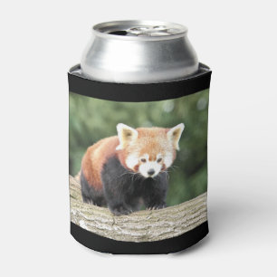 Porta-lata Can Cooler Photo Red Panda, animais 0001.