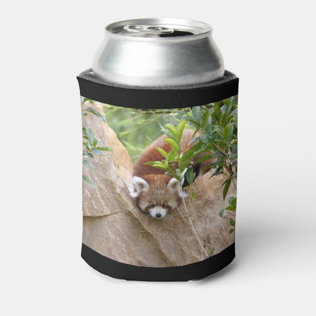 Porta-lata Can Cooler Photo Red Panda, animais 0069. (Can Back)