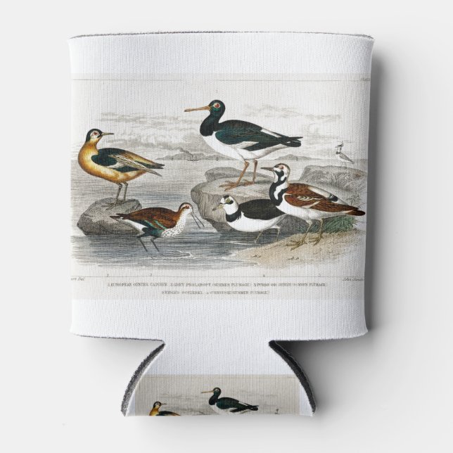 Porta-lata Captura Europeia De Ostras, Phalarope De Cinza (Ve (Frente)