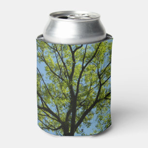 Porta-lata Carvalho Vibrante na Primavera
