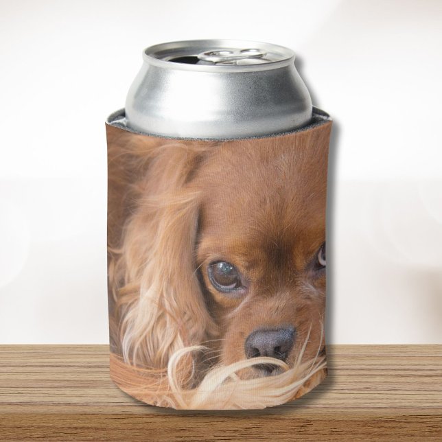 Porta-lata Cavalier King Charles Spaniel Rubi (Criador carregado)