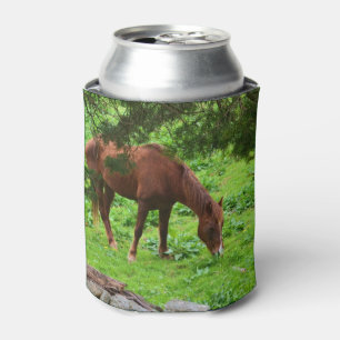 Porta-lata Cavalo