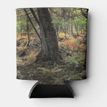 Cena de floresta outonal    