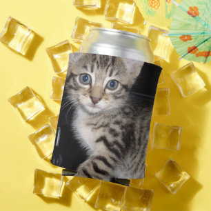 Porta-lata Cinza De Olhos Azuis, Gatinho Fofo, Gatinho Fresco