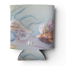 Coleção de conchas que podem arrefecer