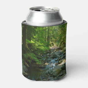 Porta-lata Creek de Água Raiva no Parque Nacional de Monte R