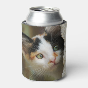 Porta-lata Curioso Gatinho Gritando Olhos Foto Engraçada