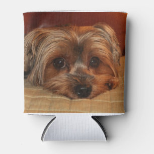 Porta-lata Cute Yorkshire Terrier Dog