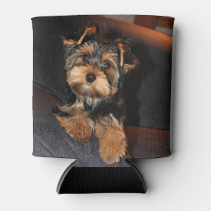 Porta-lata Cute Yorkshire Terrier Puppy Dog