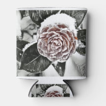 Desenho de Rosa congelado nevado