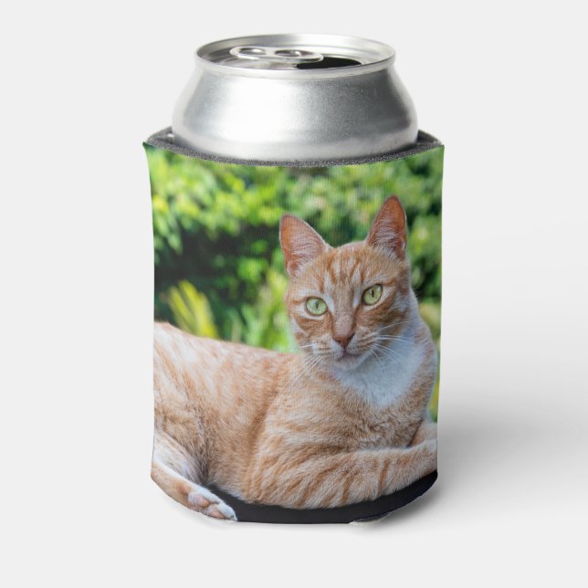 Porta-lata Doce gatinho (Can Back)