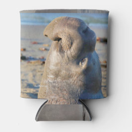 Porta-lata Elephant Seal bull