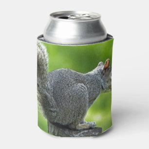 Porta-lata Esquilo