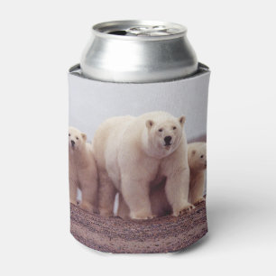 Porta-lata Família do urso polar