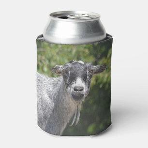 Porta-lata Feliz Aniversário, Seu Velho Cabra