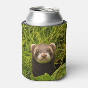 Porta-lata Ferret castanho na foto da grama