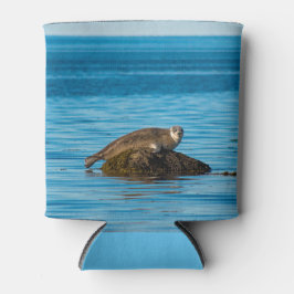 Porta-lata Foca-do-Atlântico