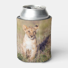 Porta-lata Foto de leão-bonito na África