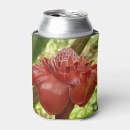 Porta-lata Gengibre Tocha Vermelha Fotografia de Flor Tropica