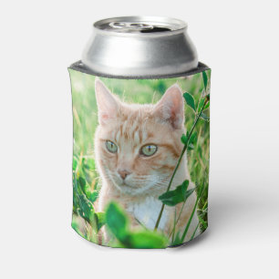 Porta-lata Ginger Cat com olhos verdes na grama