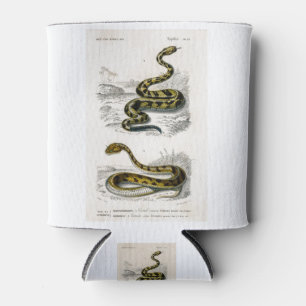 Porta-lata Ilustração de Víbora com coroa de Rattlesnake Saha