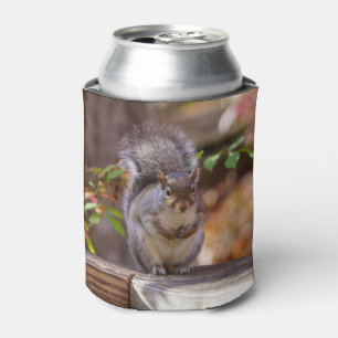 Porta-lata Implorando o esquilo