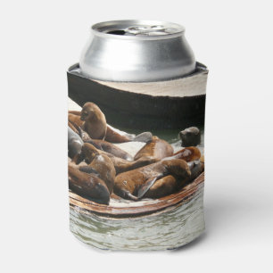 Porta-lata Leões do Mar do Sol em São Francisco