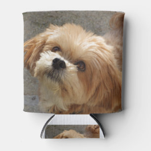 Porta-lata Lhasa Apso cão em um jardim
