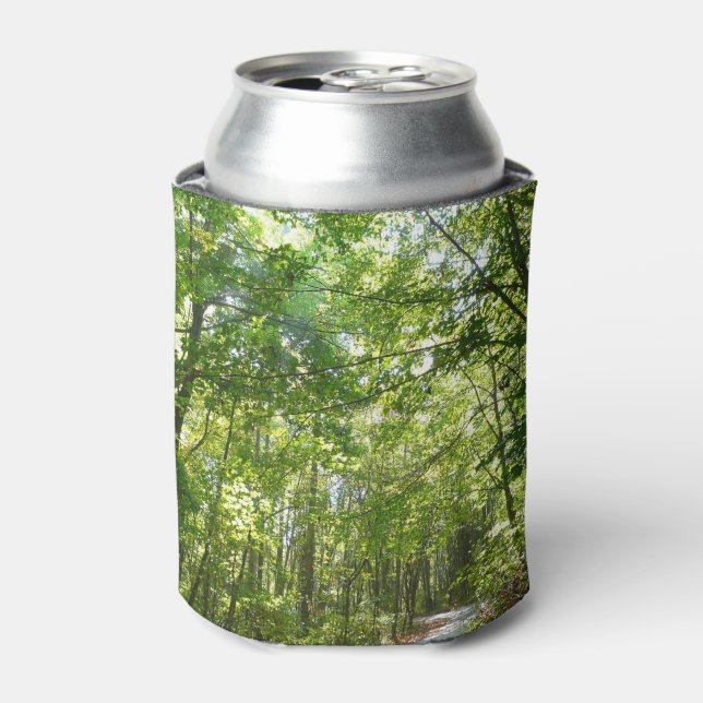 Porta-lata Luz do sol sobre o caminho florestal no Centennial (Can Front)