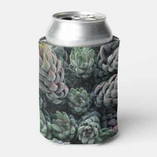 Porta-lata O costume agradável do cacto pode refrigerador