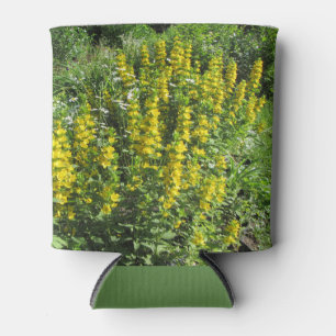 Porta-lata Ouro Alexanders Loosestrife Primavera