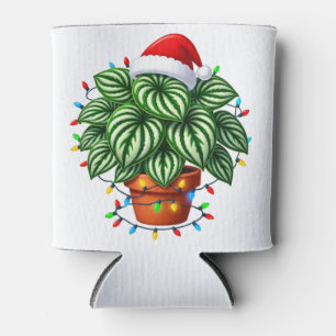 Porta-lata Peperômia Argyreia Melancia de Natal Feriado